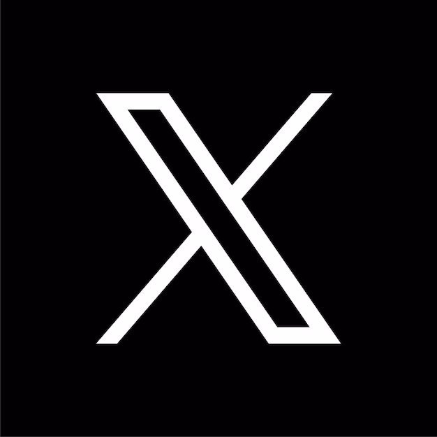 X (Twitter) logo icon